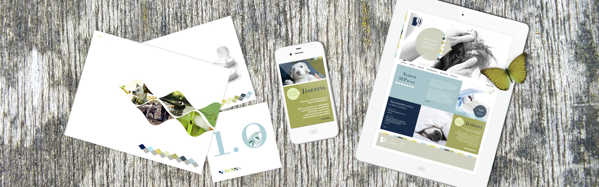 Suomen Eläinlääkäripraktikot